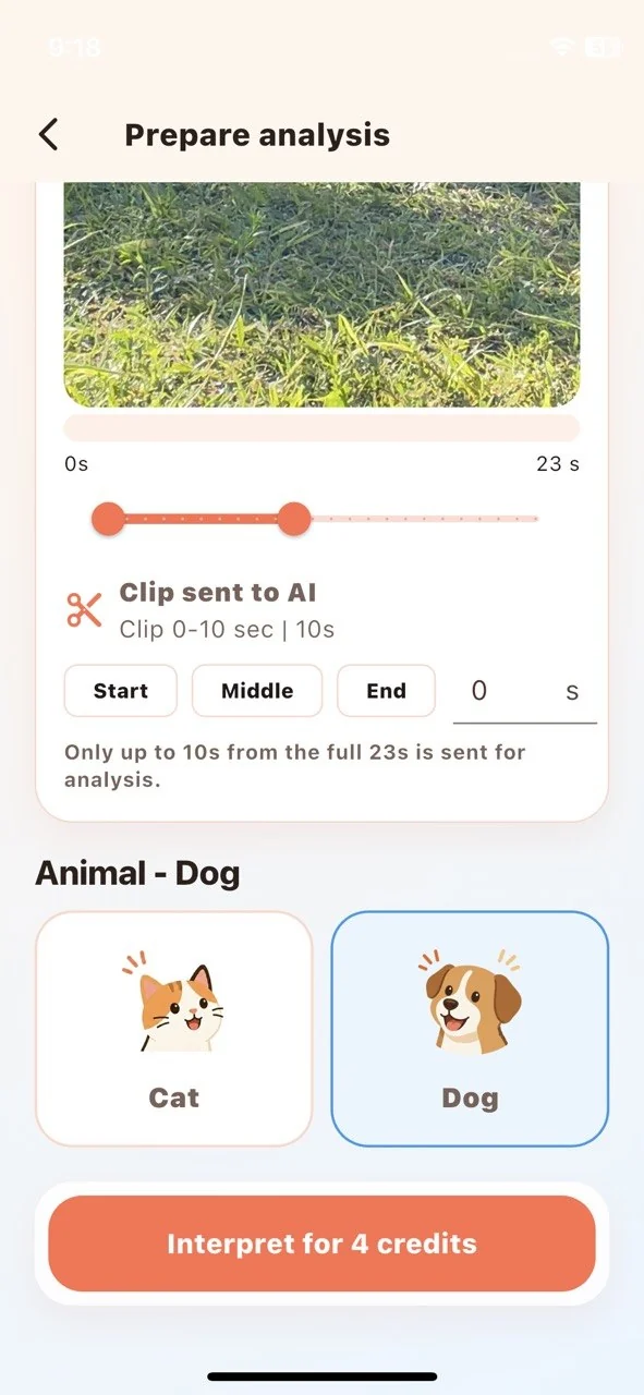 Real Decody clip selector limiting an uploaded pet video to a ten-second window